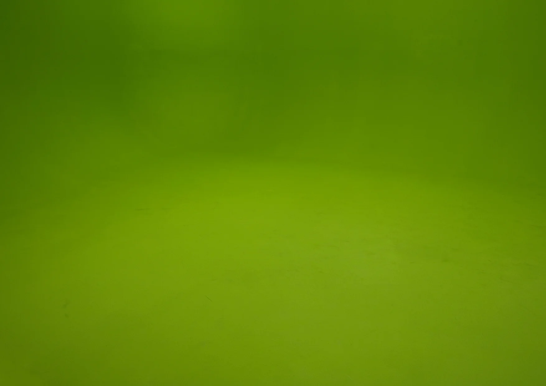 Chris Cornish - greenscreen - 2008